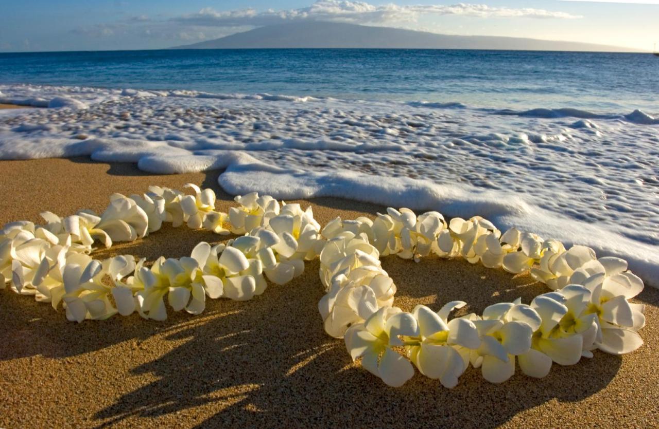 Mountain View Getaway, Free Parking And Beach Steps Away Honolulu Dış mekan fotoğraf