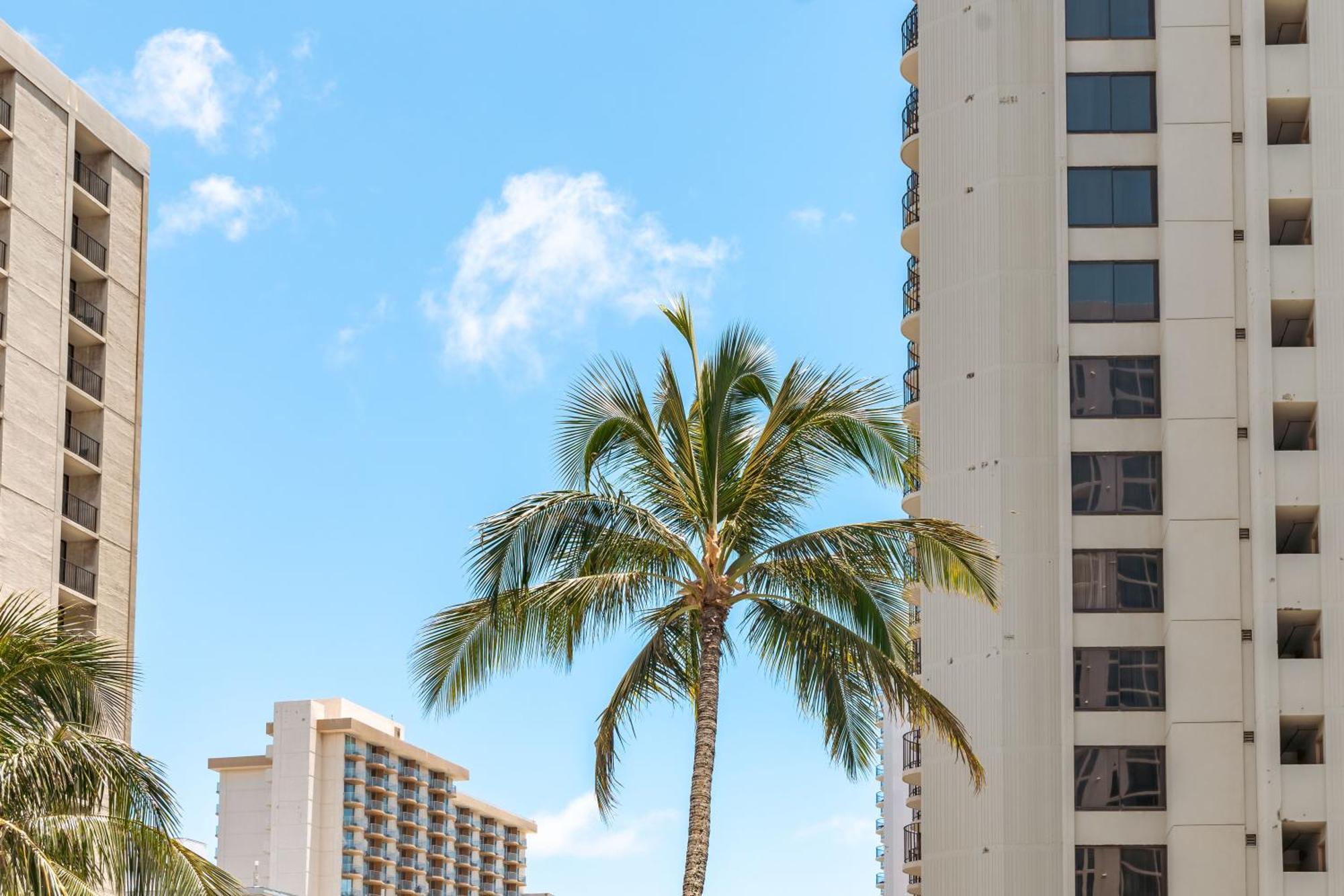 Mountain View Getaway, Free Parking And Beach Steps Away Honolulu Dış mekan fotoğraf
